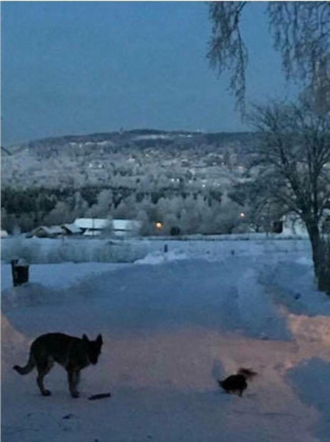Villa Det Gamla Panget Tällberg Esterno foto