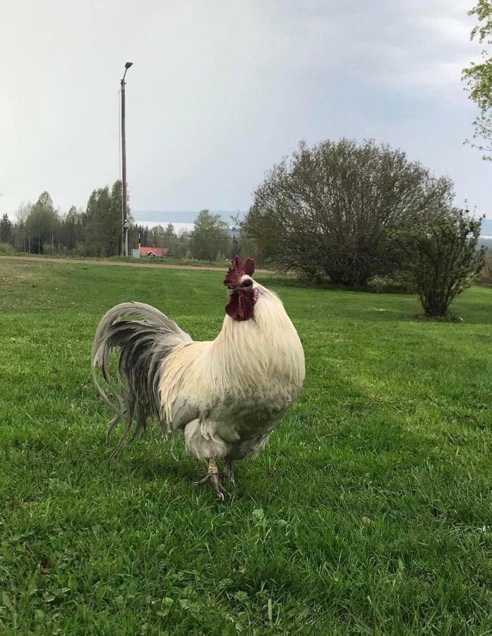 Villa Det Gamla Panget Tällberg Esterno foto
